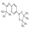 6-Pivalamidopyridine-3-boronic Acid Pinacol Ester of picture