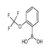 2-(Trifluoromethoxy)phenylboronic Acid of picture