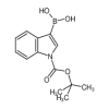 1-Boc-indole-3-boronic Acid of picture