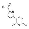 4-(2,4-Dichlorophenyl)thiazole-2-carboxylic Acid of picture