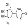 2-Chloropyridine-5-boronic Acid Pinacol Ester of picture