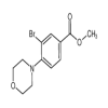 Methyl 3-Bromo-4-morpholinobenzoate of picture
