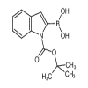 N-Boc-indole-2-boronic Acid of picture