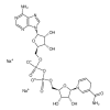 NADH DISODIUM SALT  of picture