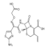 Cefixime of picture