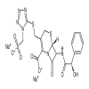 Cefonicid sodium of picture