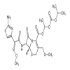 Cefpodoxime Proxetil of picture