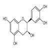 (+)-Epicatechin of picture