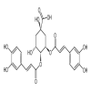 Isochlorogenic acid C of picture
