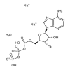 5'-ATP-Na2(98%,1g) of picture