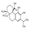 Carnosic acid of picture