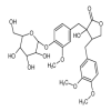 Tracheloside of picture