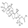 Alisol A 24-acetate of picture