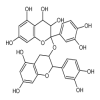 Procyanidin 95% of picture