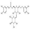 Isoacteoside of picture