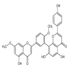 Ginkgetin of picture
