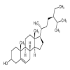 β-Sitosterol 98% of picture