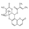 Praeruptorin B 98% of picture