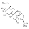 Cycloastragenol 98 % of picture