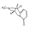 N－Methylcytisine 98% of picture