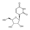 Uridine of picture