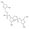 Deoxyribonucleic Acid 90% of picture