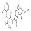 Oxacillin Sodium of picture