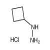 1-CYCLOBUTYLHYDRAZINE HYDROCHLORIDE 97% of picture