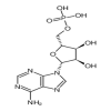 5'-ADENOSINE MONOPHOSPHATE high quality of picture