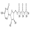 5'-CYTIDYLATE TRIPHOSPHATE of picture