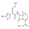 CEFTIZOXIME SODIUM of picture