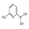 6-METHYLPYRIDINE-2-BORONIC ACID (25g) of picture