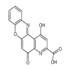 1-HYDROXY-5-OXO-5H-PYRIDO[3,2-A]PHENOXAZINE-3-CARBOXYLIC ACID MONOSODIUM SALT of picture