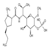 clindamycin phosphate of picture