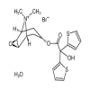 Tiotropium bromide (10g) of picture