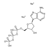 2'-Deoxyadenosine-5'-triphosphate, Disodium Salt of picture