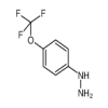 4-(TRIFLUOROMETHOXY)PHENYLHYDRAZINE HYDROCHLORIDE 97% of picture