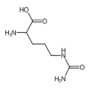 D-CITRULLIN of picture