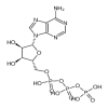 Adenosine Triphosphate (100g) of picture