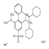 2 -Dicyclohexylphosphino-2,6-di-i-propyl-4-sulfonato-1,1 -biphenyl hydrate sodium salt of picture