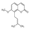 Osthole 95%HPLC of picture