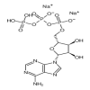Adenosine 5'-triphosphate disodium salt of picture