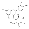 Isoquercitrin 98% of picture