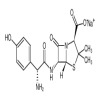 Amoxycillin Sodium sterile of picture