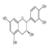 Catechin 98% of picture
