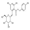Phloridzin 98% of picture