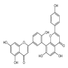 Amentoflavone 98% of picture