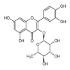 Quercitrin 98% of picture