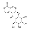  Gentiopicrin 98% of picture