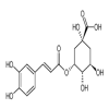Neochlorogenic acid 98% of picture
